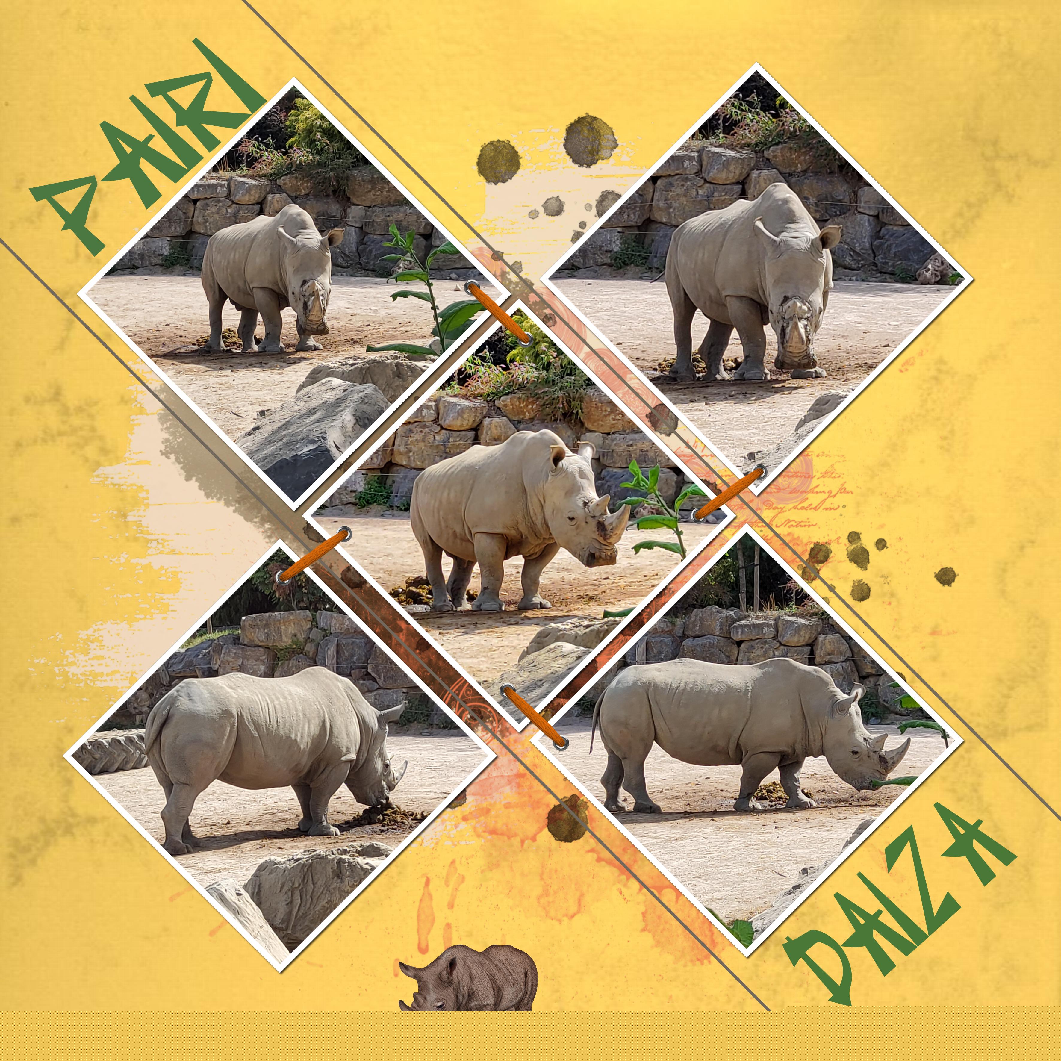 Pairi Daiza 17 02 2023 (page 1).jpg