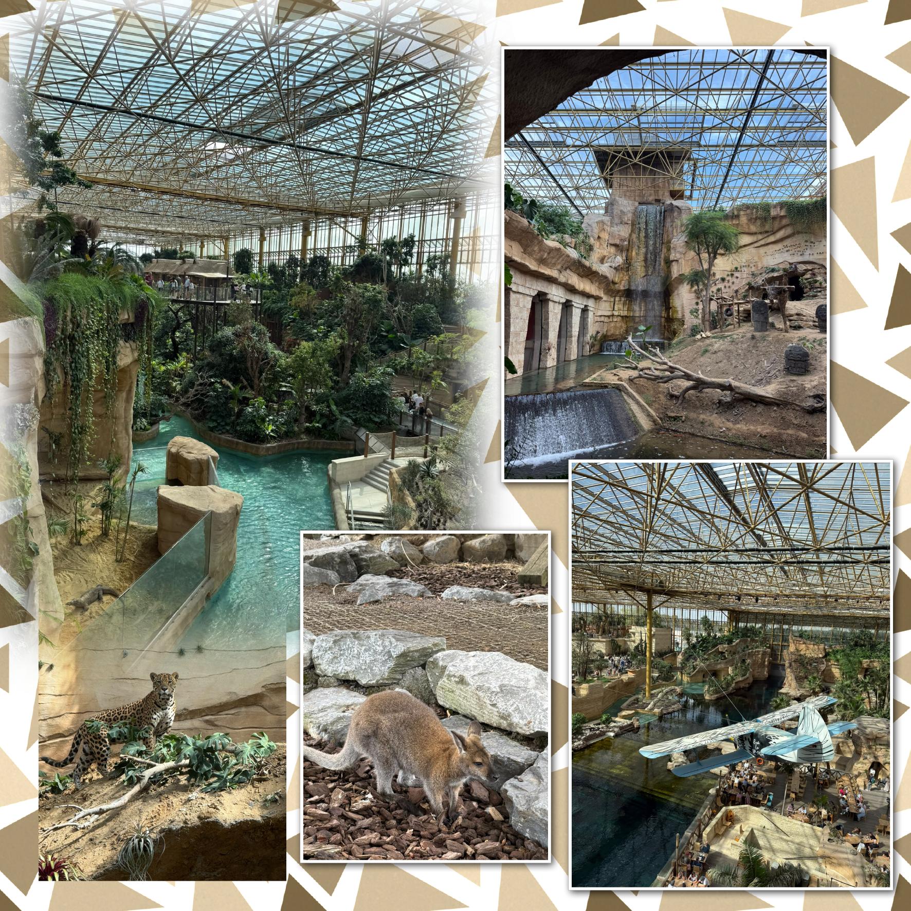 Pairi Daiza.jpg