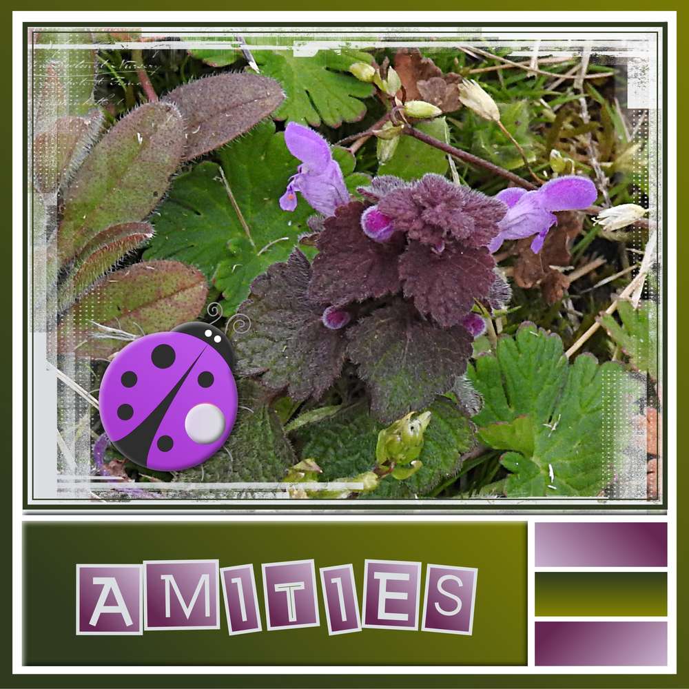 PALETTE DE COULEURS   - AMITIES