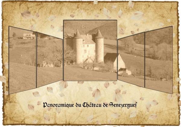Panoramique Château Senezergues