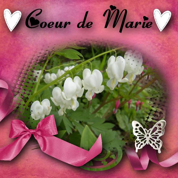 papiers et éléments Studio scrap 5, photo perso