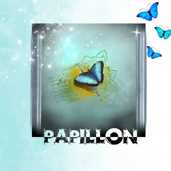 papillon bleu