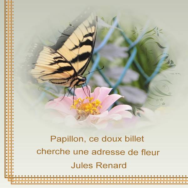 PAPILLON - CE DOUX BILLET