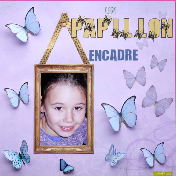 Papillon encadré