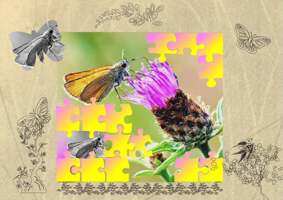 Papillon puzzle