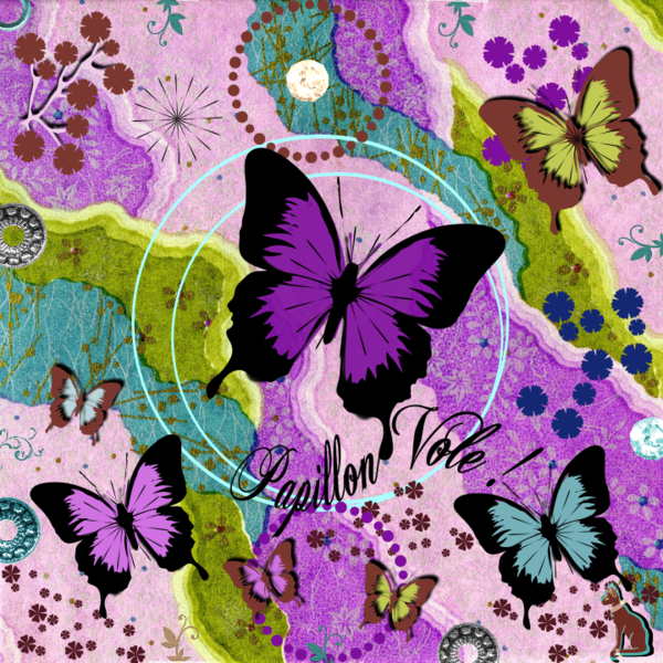 Papillon vole !