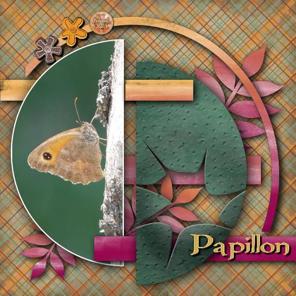 Papillon02