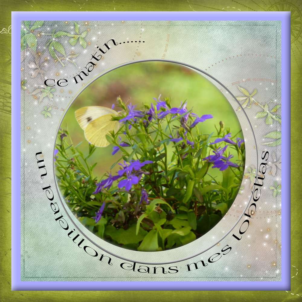 papillon_et_lob__lias