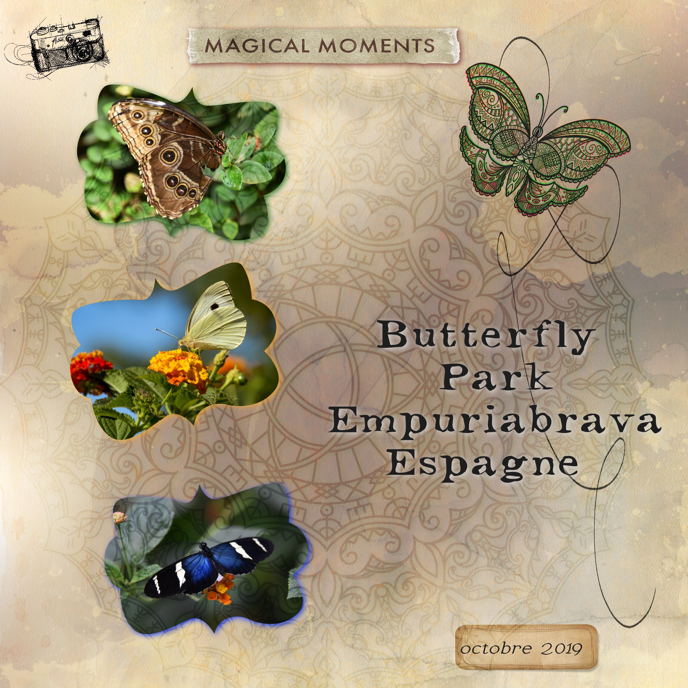 papillons empuria .jpg