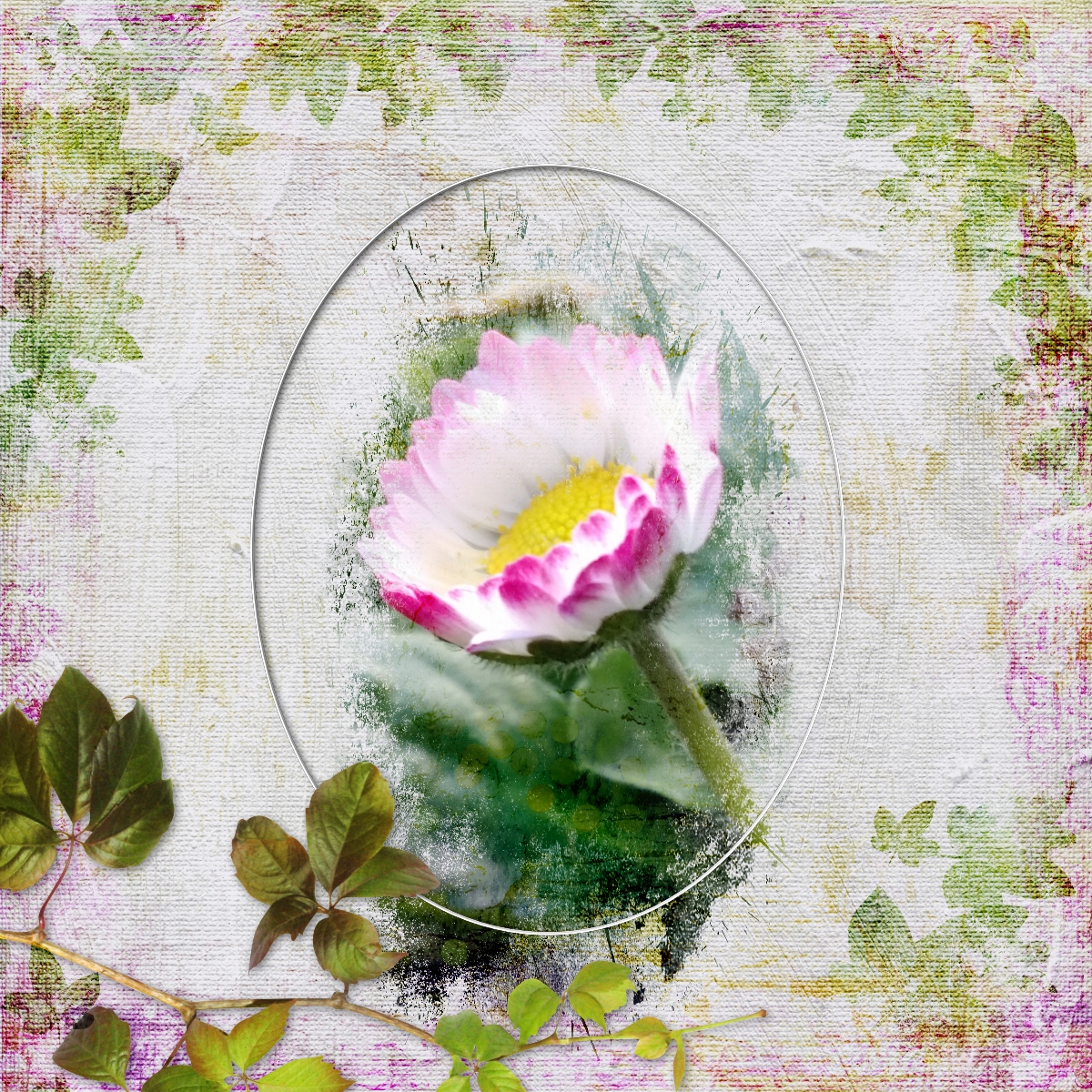 pâquerette du jour.jpg