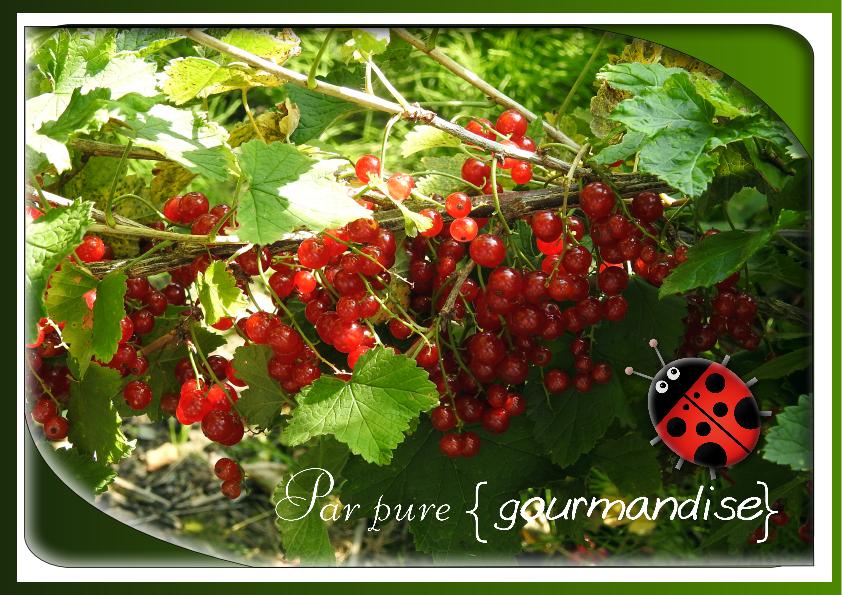 PAR PURE GOURMANDISE