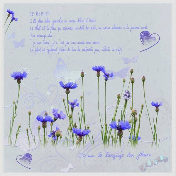 Par une belle journée de janvier