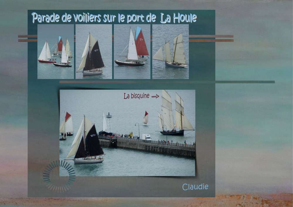 Parade_de_voiliers__1_