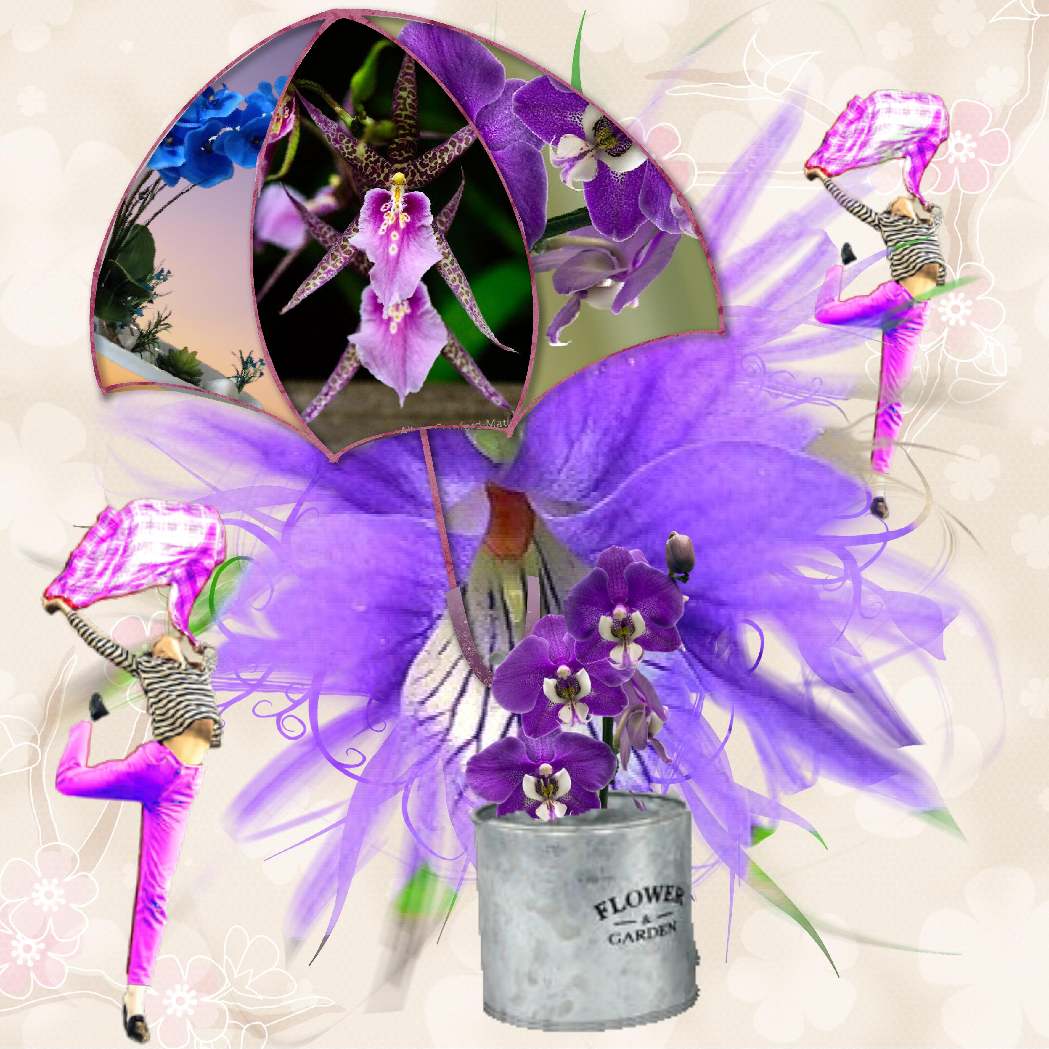 parapluie fleuri.jpg