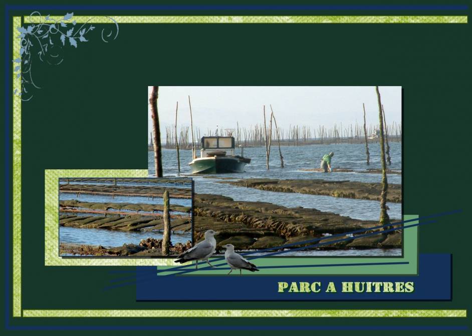 Parc à huitres