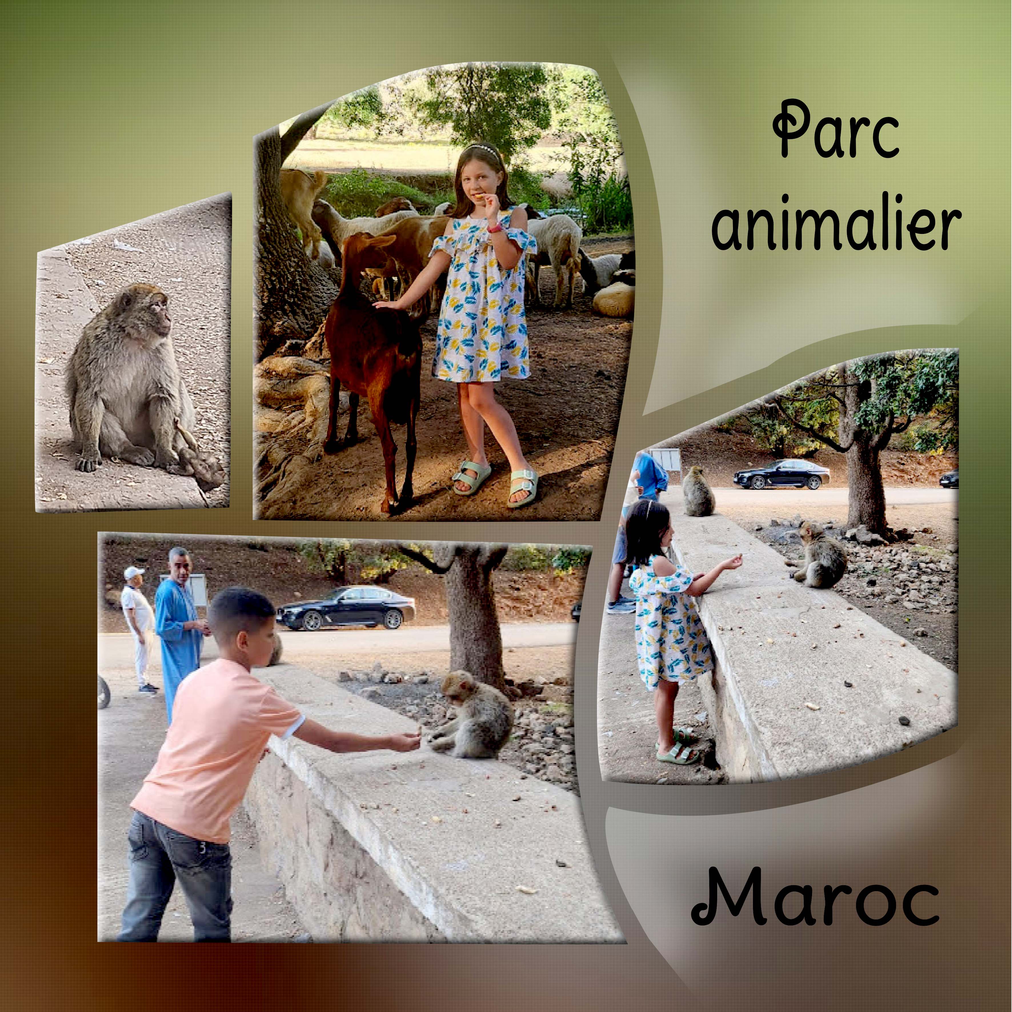 Parc animalier.jpg