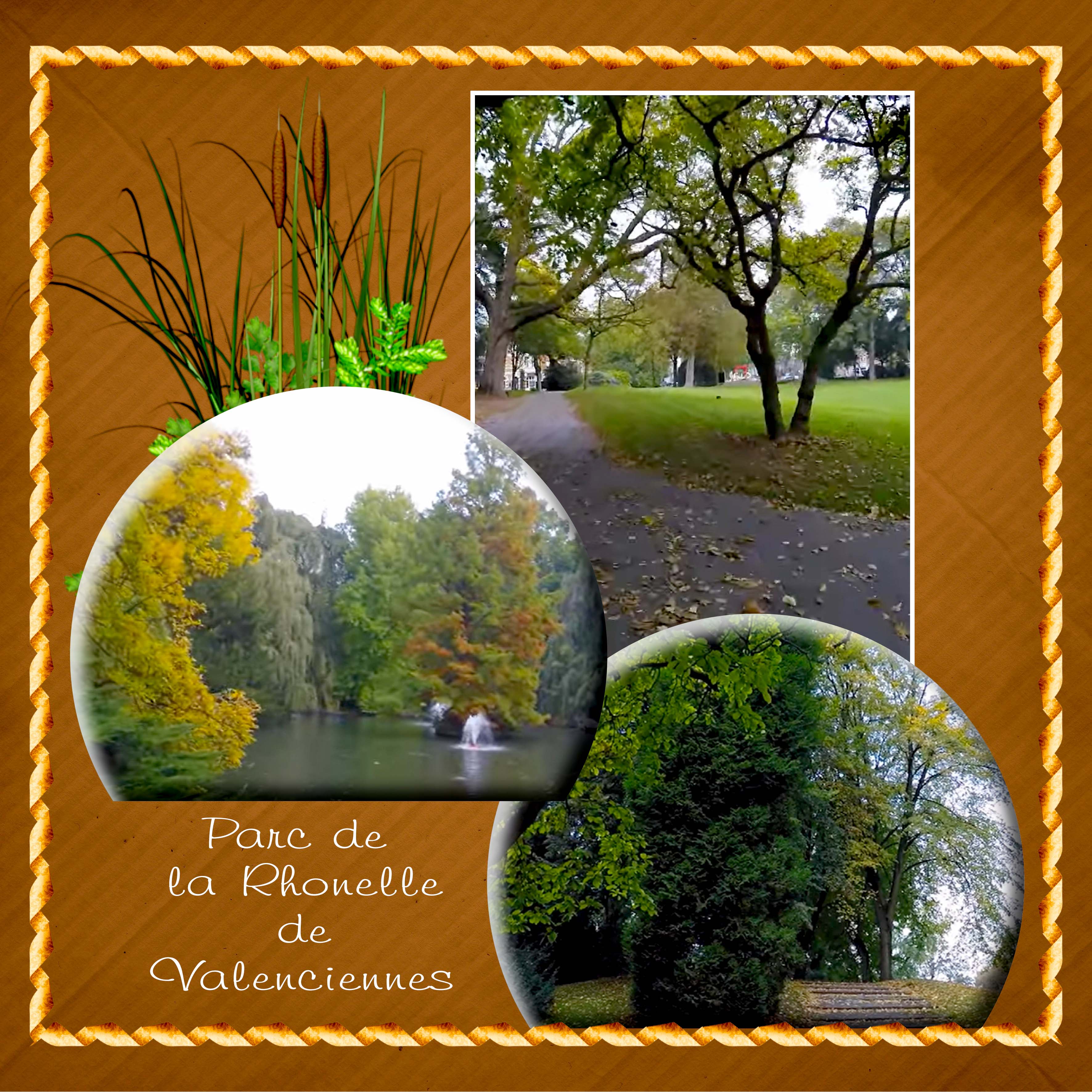 Parc de la Rhonelle