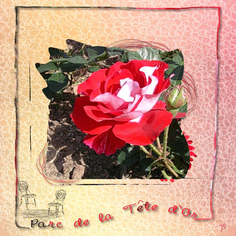 parc de la Tête d'Or Lyon.jpg