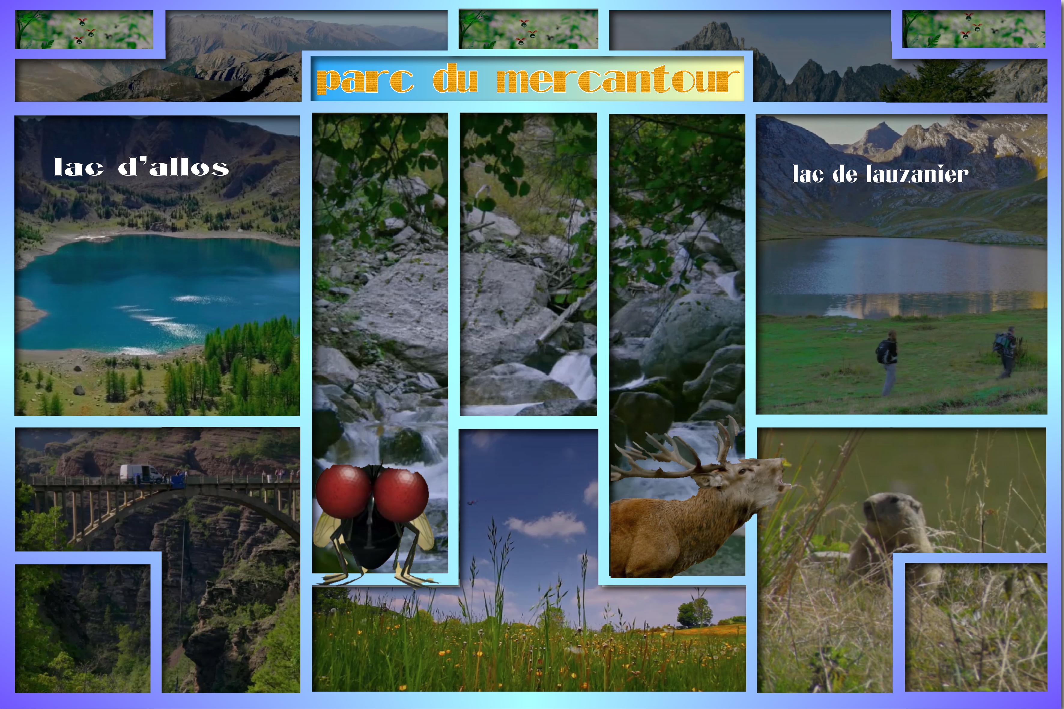 Parc de mercantour.jpg