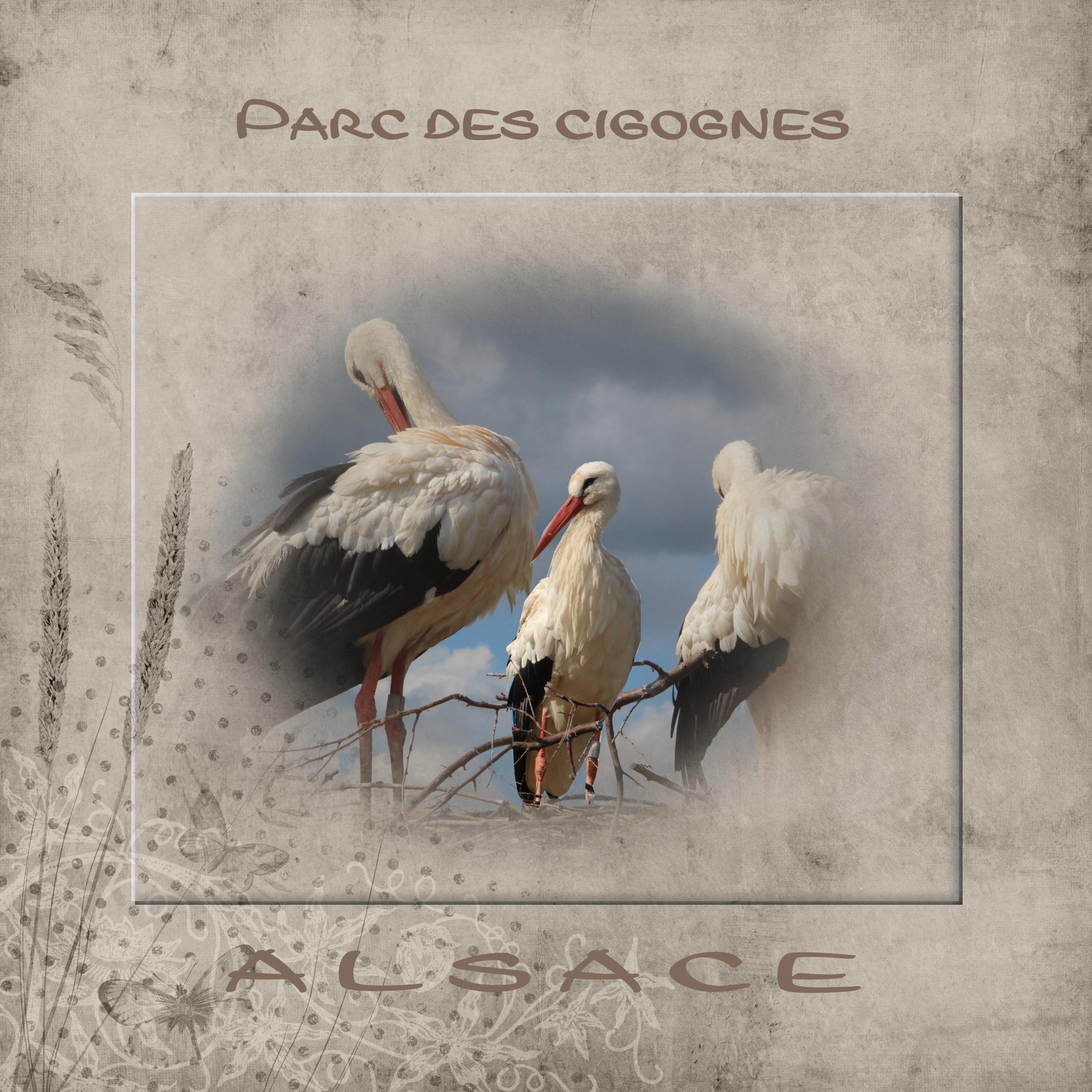 parc des cigognes.jpg