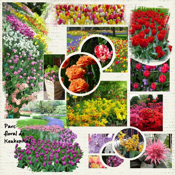 Parc floral de Keukenhof en Hollande