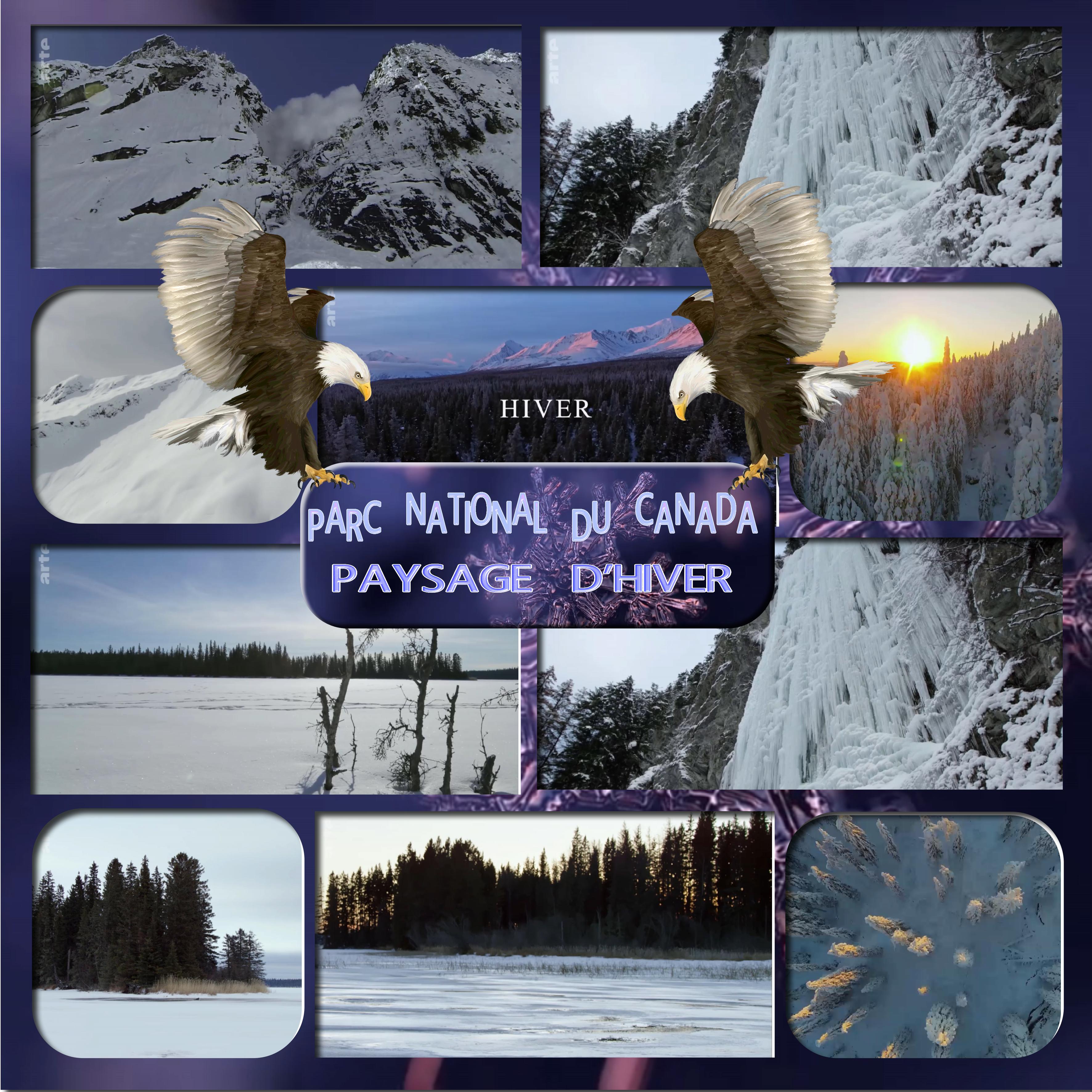 parc national du canada paysage d'hiver.jpg