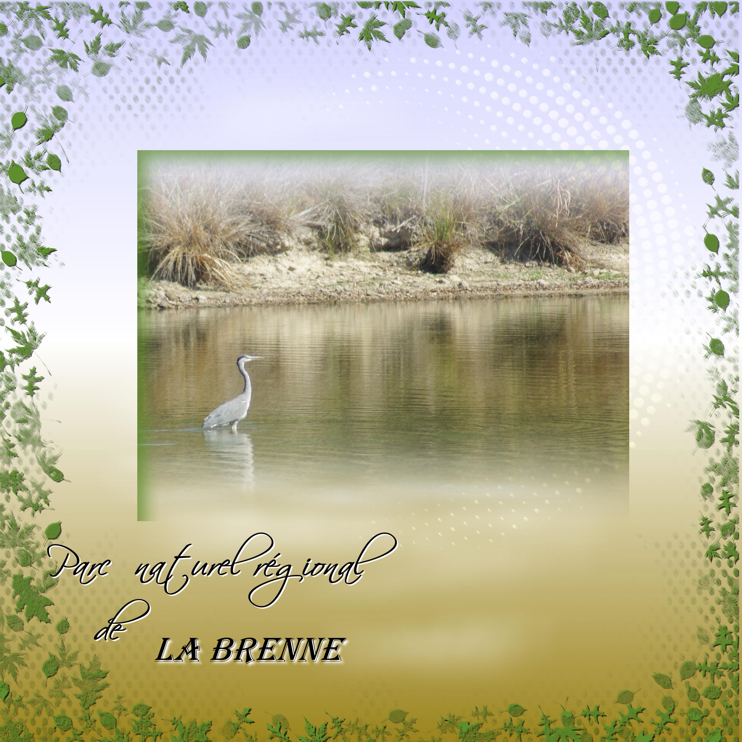 Parc naturel régional de La Brenne.jpg