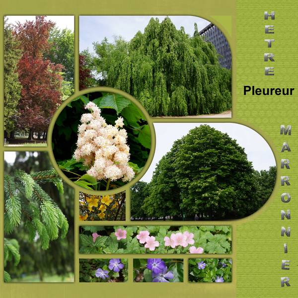 Parc Paul Mistral 08 05 2014