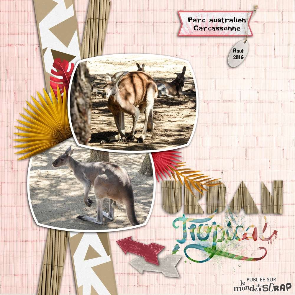 parc_australien_Carcassonne