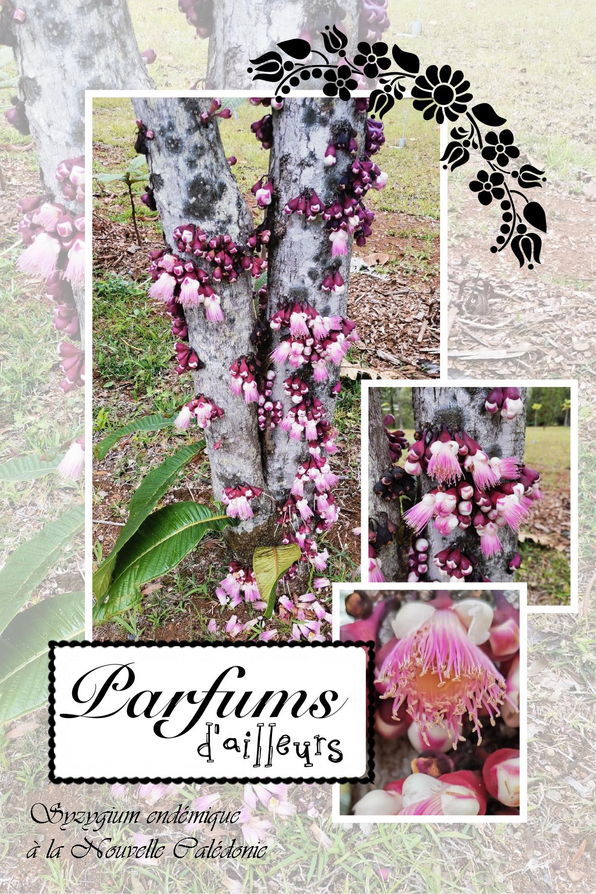 Parfums d'ailleurs.jpg