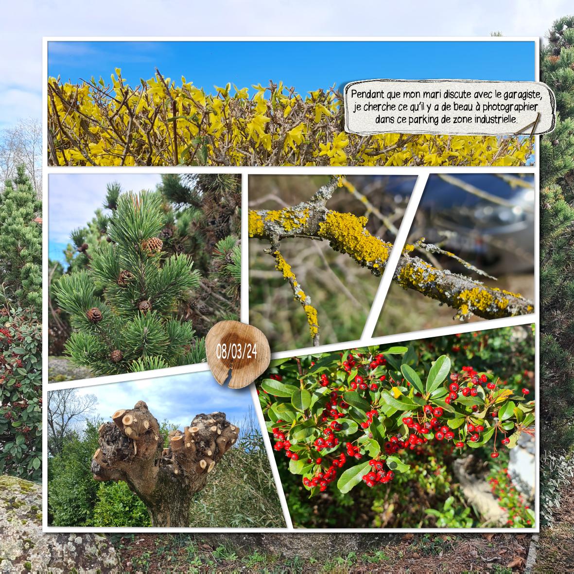 parking zi 2024 .jpg