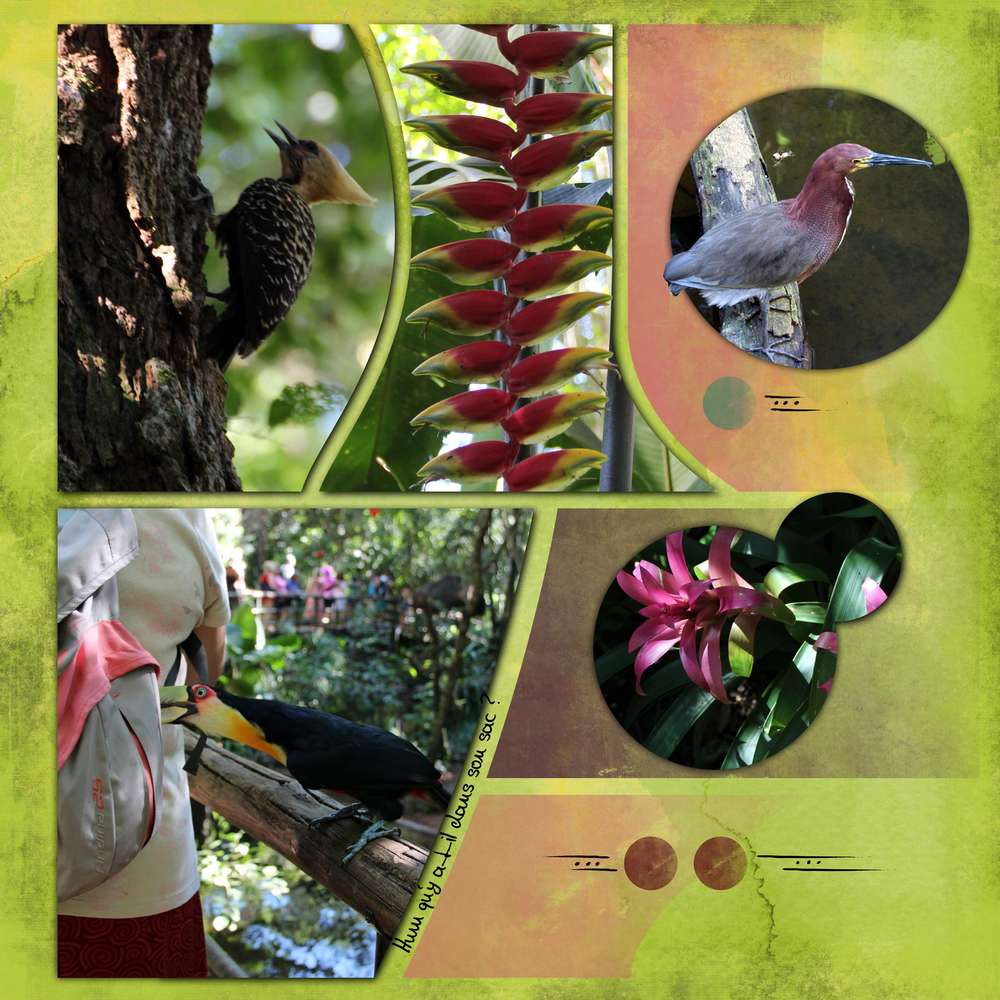 Parque de Aves