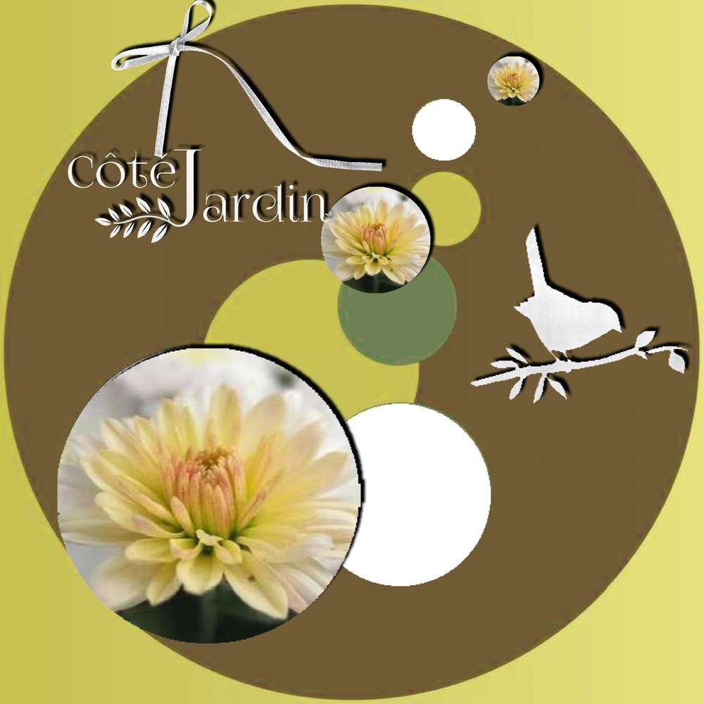 participation au défi