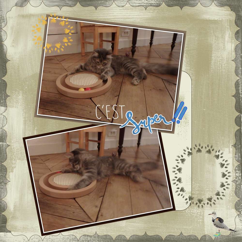 partie de boules....