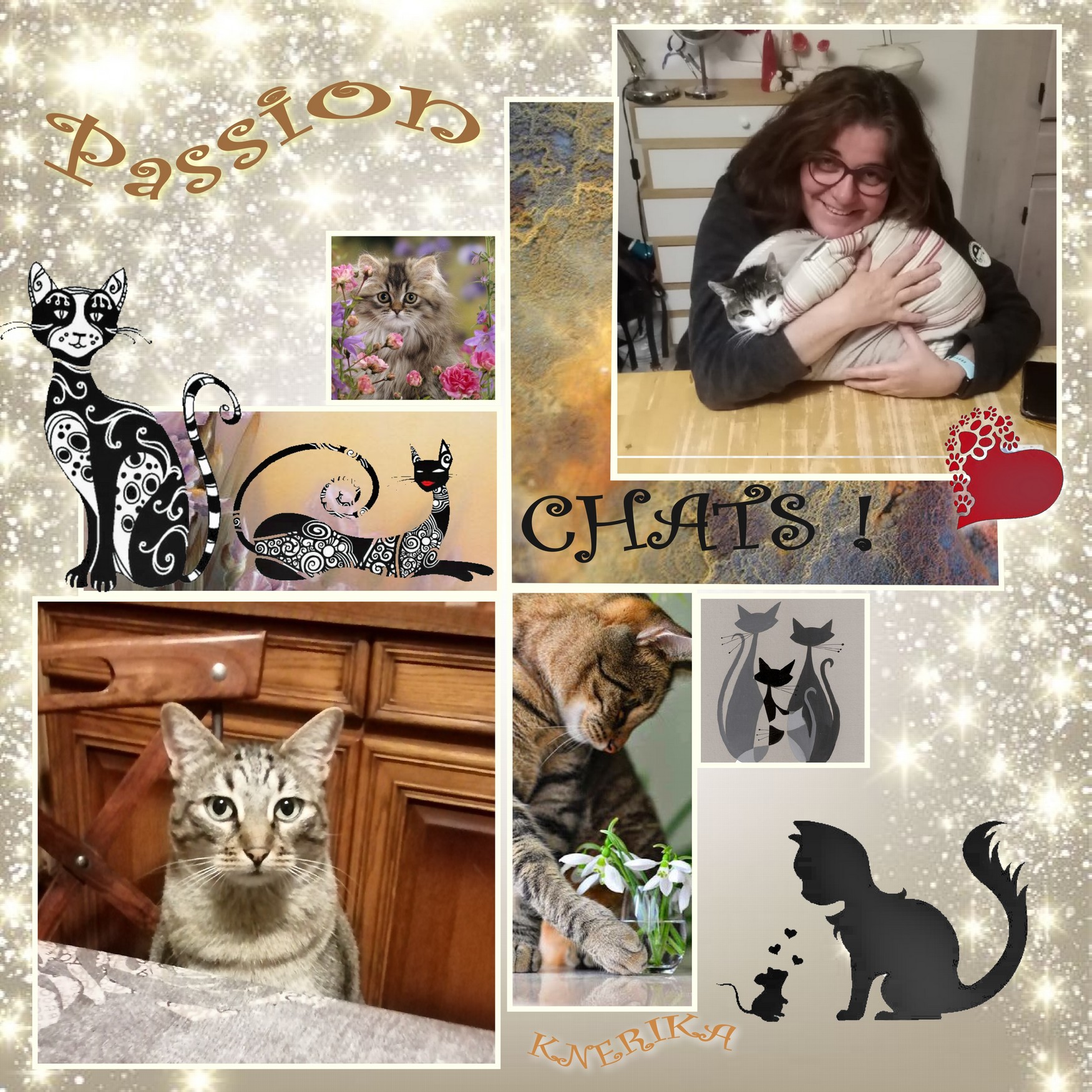 Passion chats_ Anne Marie.jpg