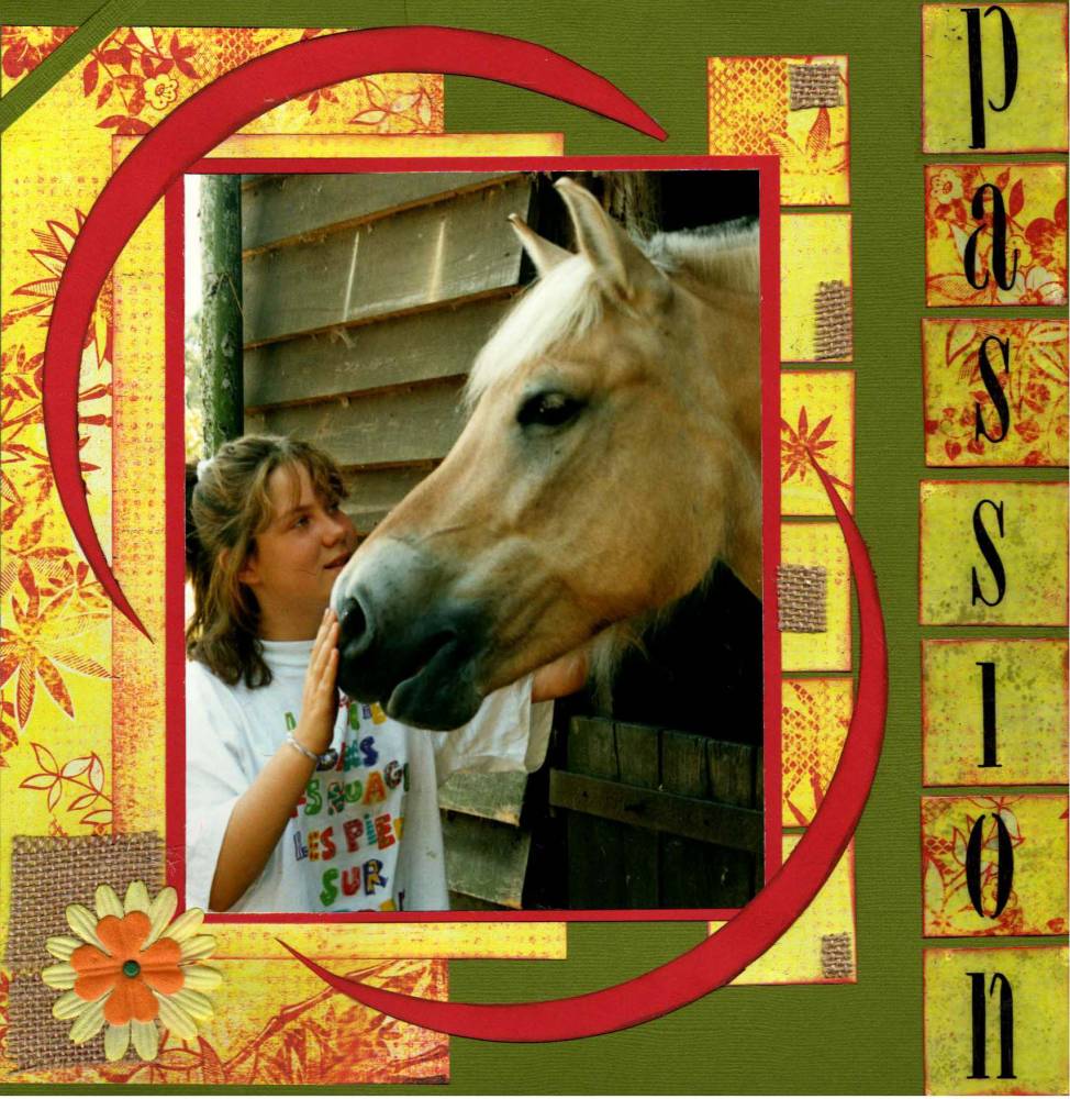 passion_cheval_1994
