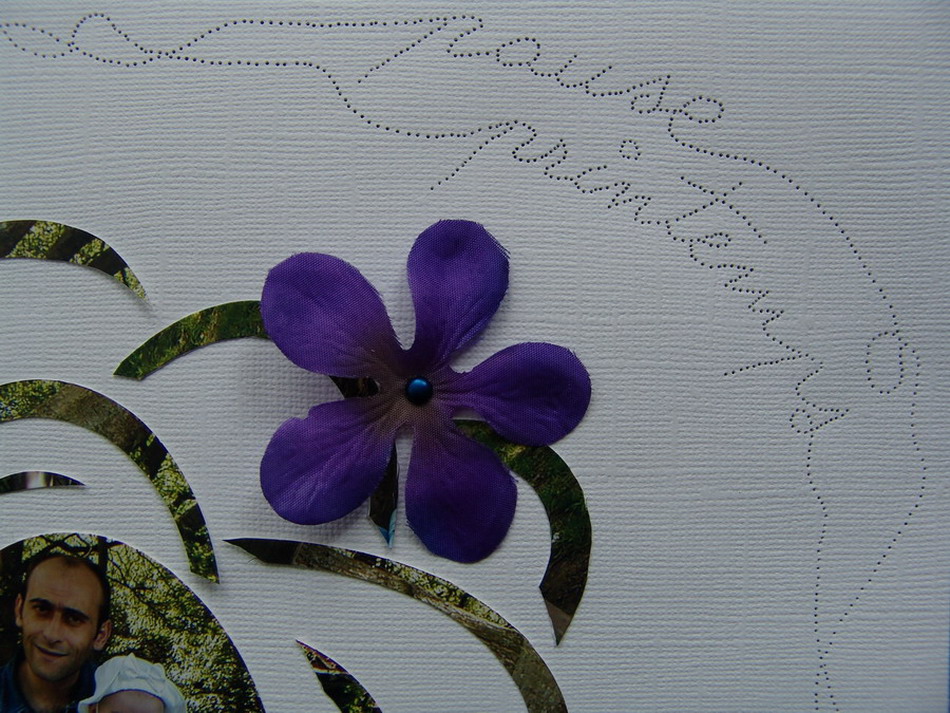 Pause printemps - détails