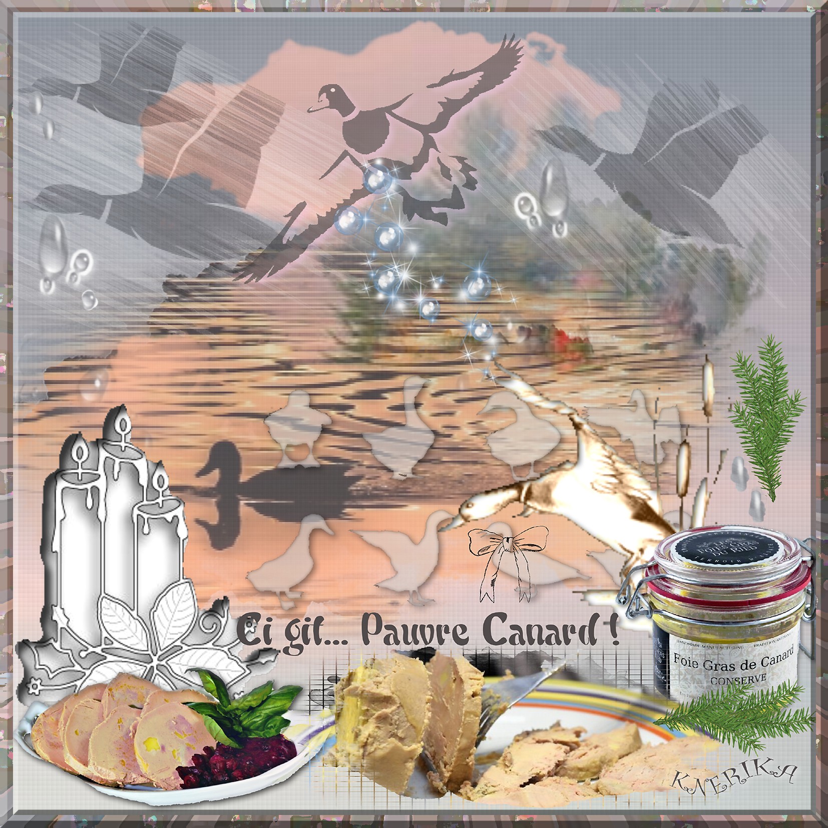 pauvres canards,.jpg