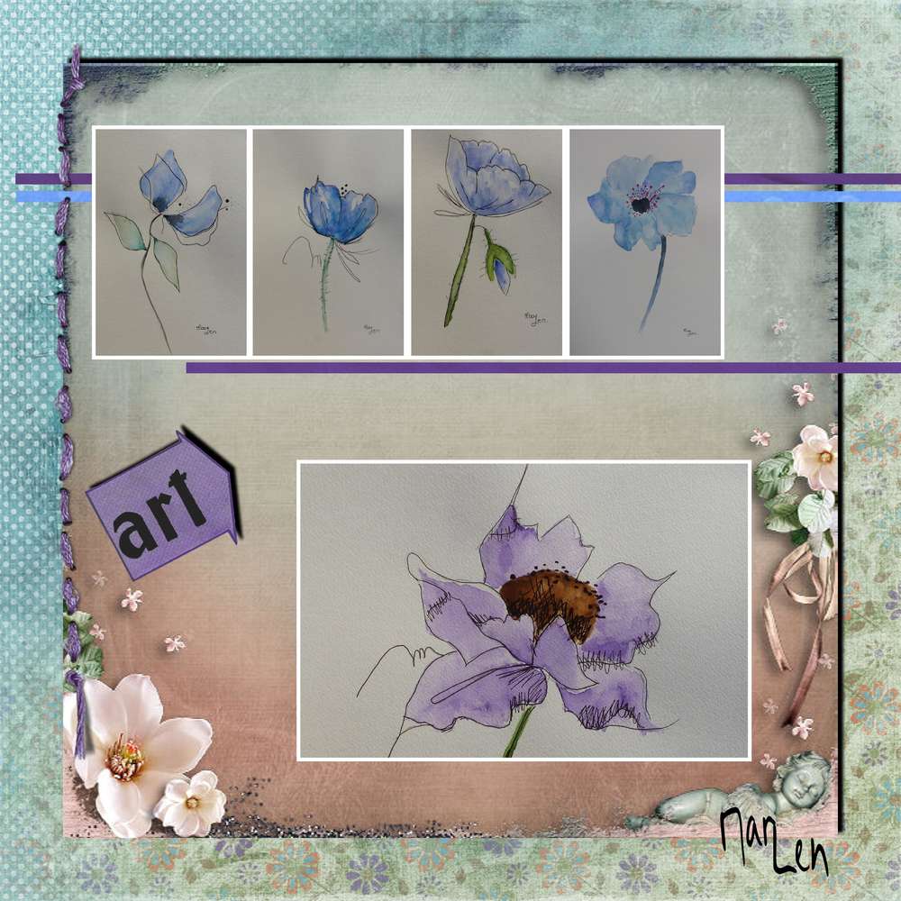 Pavots de l'Himalaya