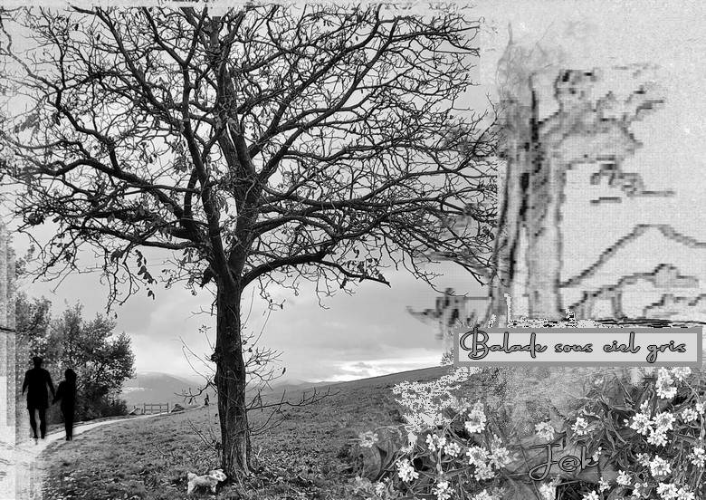 paysage balade dans sous ciel gris.jpg