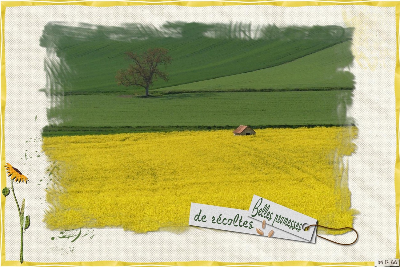 Paysage d'Auvergne 1.jpg