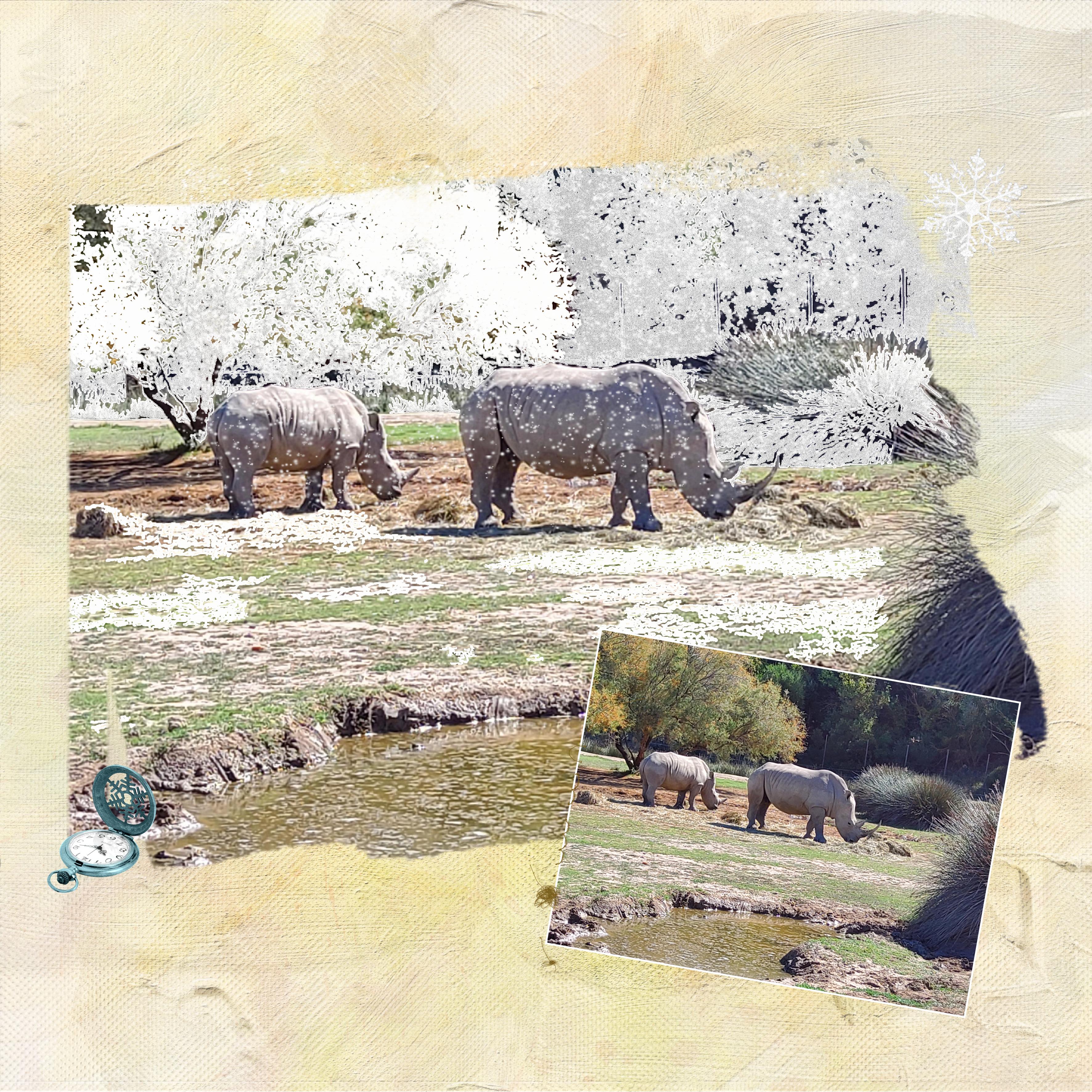 Paysage de neige.jpg