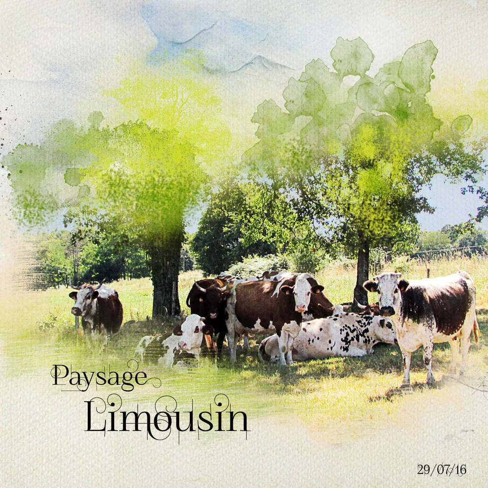 Paysage Limousin