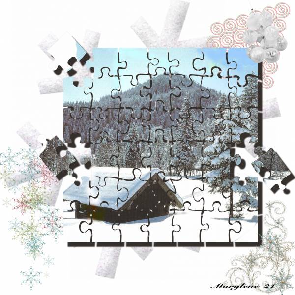 PAYSAGE NEIGEUX Défi BOUVIER