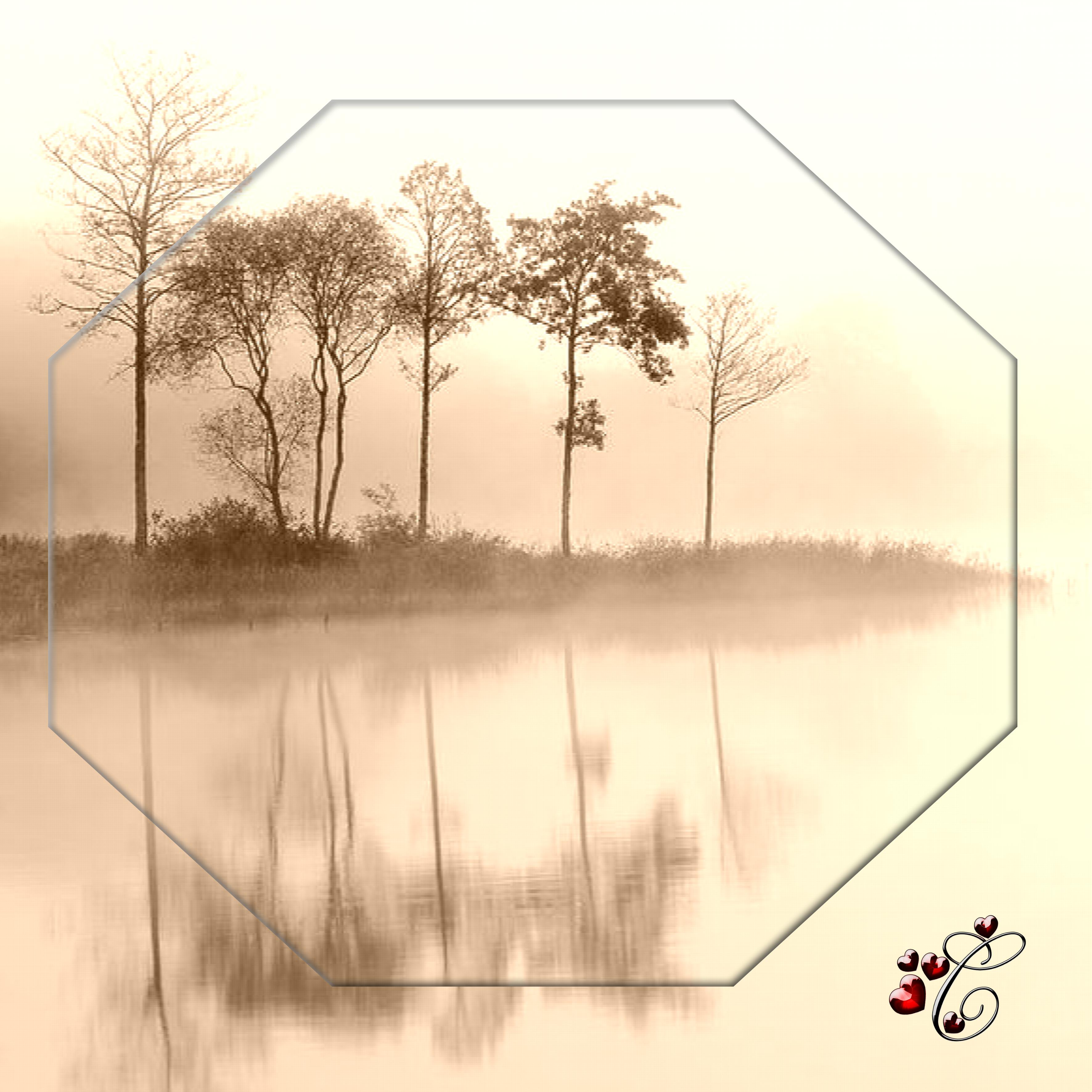 paysage reflet sépia.jpg