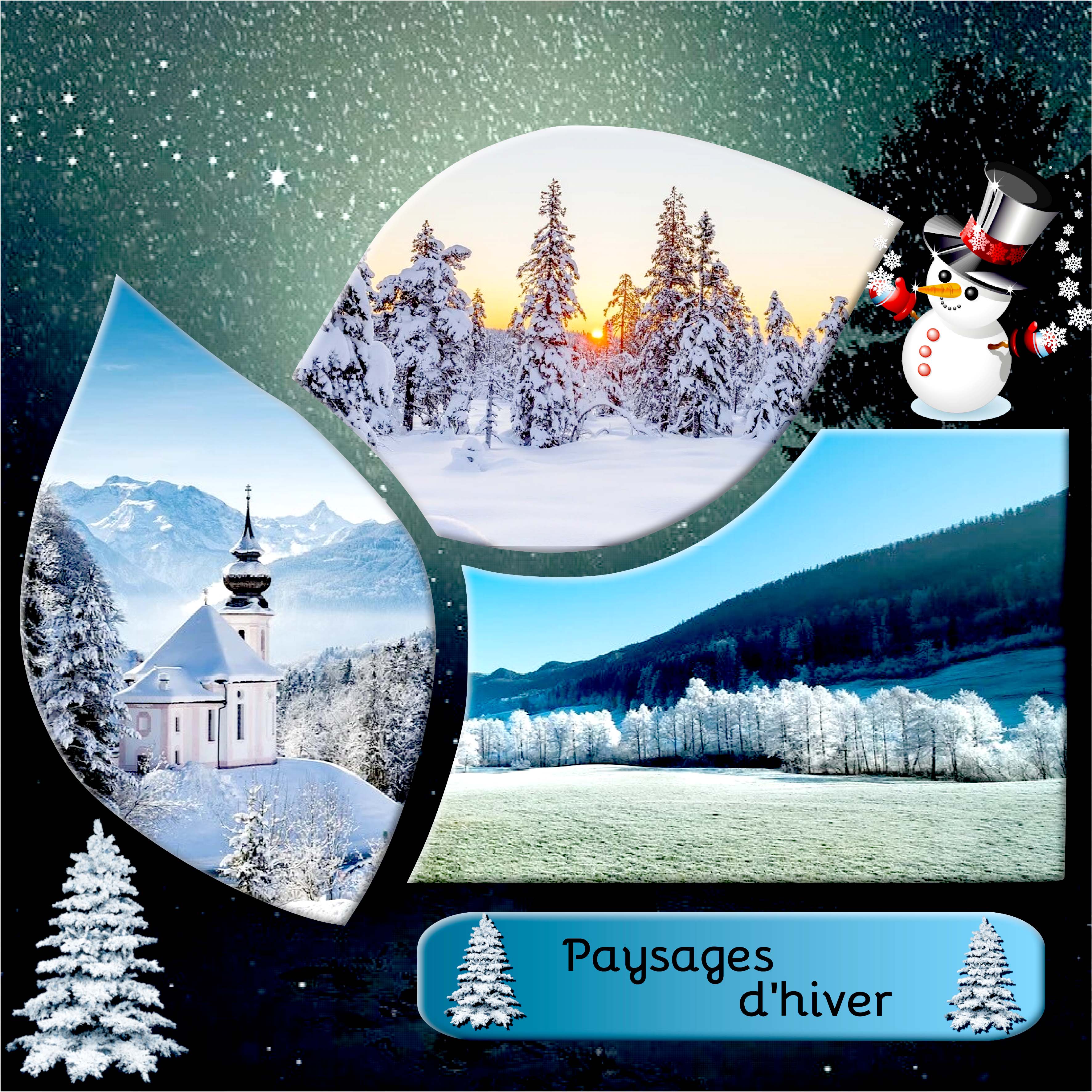 Paysages d'hiver
