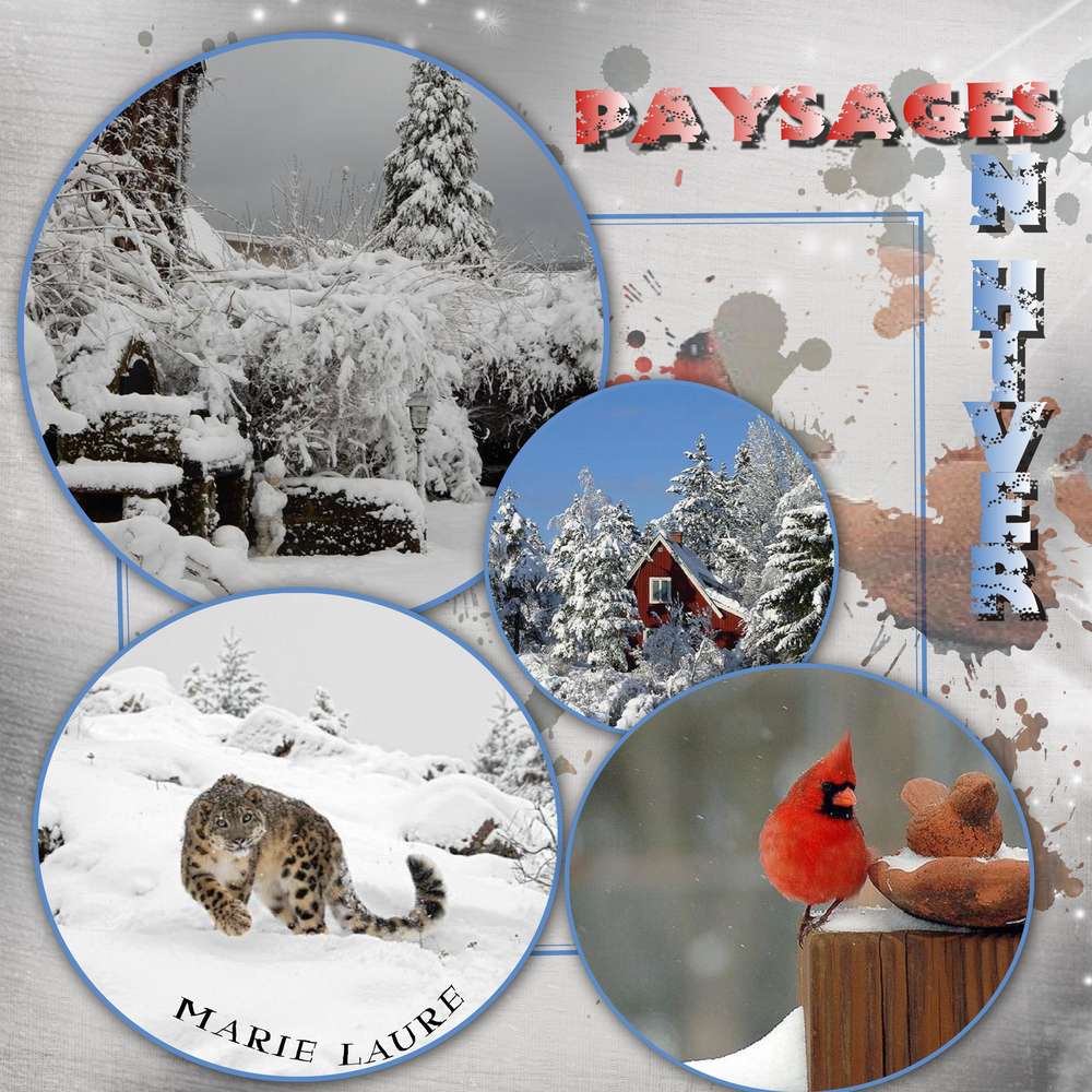 Paysages en hiver
