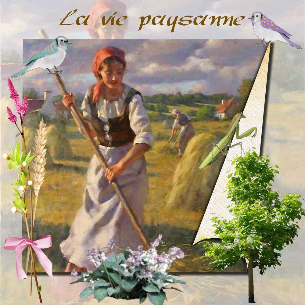 paysanne aux champs