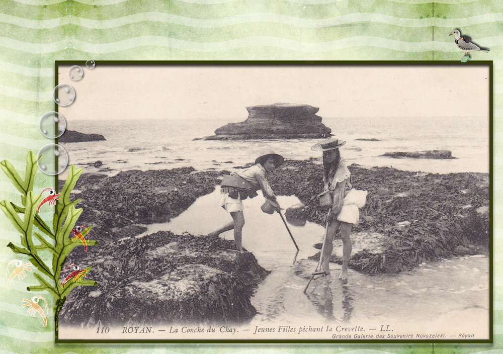 pêche à la crevette...