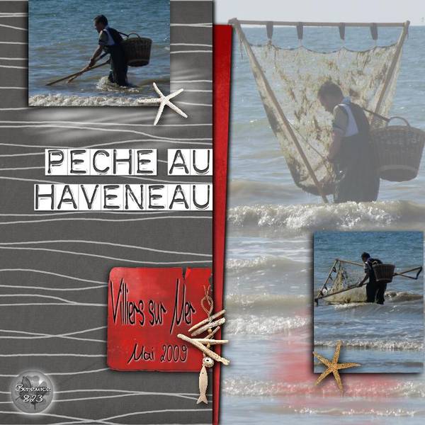 Pêche au Haveneau